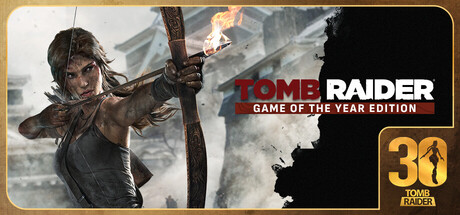 Tomb Raider Game of the Year 封面